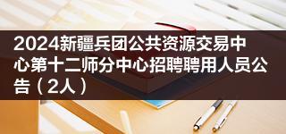 2024新疆兵团公共资源交易中心第十二师分中心招聘聘用人员公告（2人）