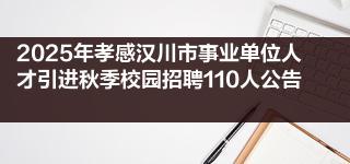 2025年孝感汉川市事业单位人才引进秋季校园招聘110人公告 