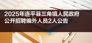 2025年连平县三角镇人民政府公开招聘编外人员2人公告